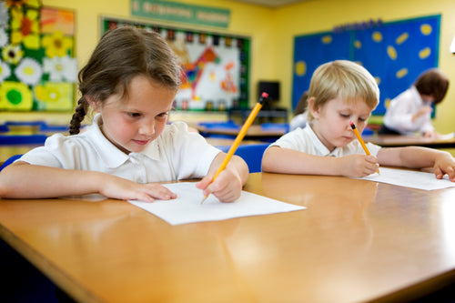 Professional Learning/Professional Development (PD) for teaching sight words and reading.